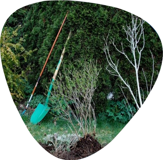 Atelier entretien des espaces vert et aménagement paysager Insertion professionnelle : atelier entretien des espaces vert et aménagement paysager