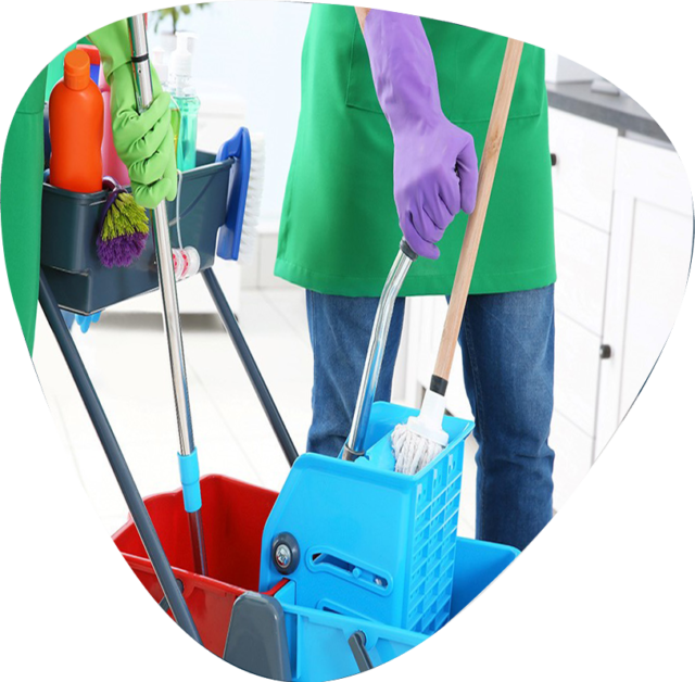 Atelier propreté et services de nettoyage Insertion professionnelle : atelier propreté et services de nettoyage