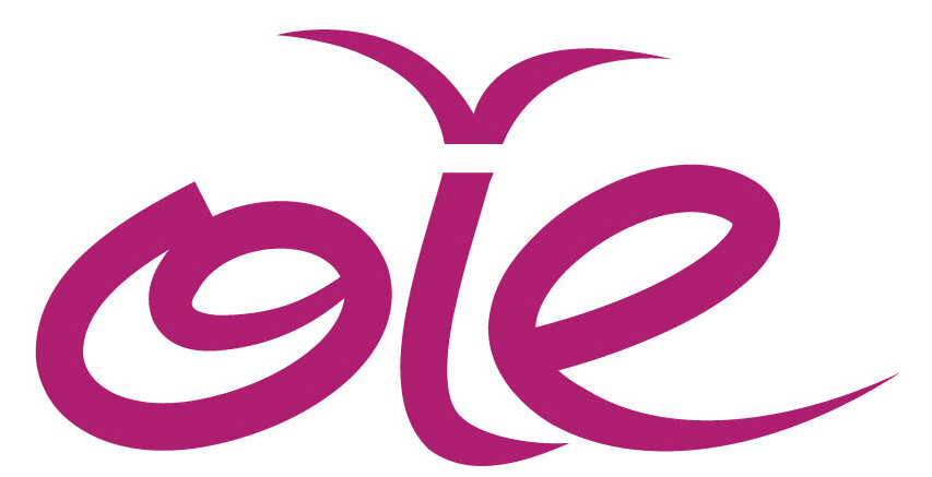 Orléans Insertion Emploi