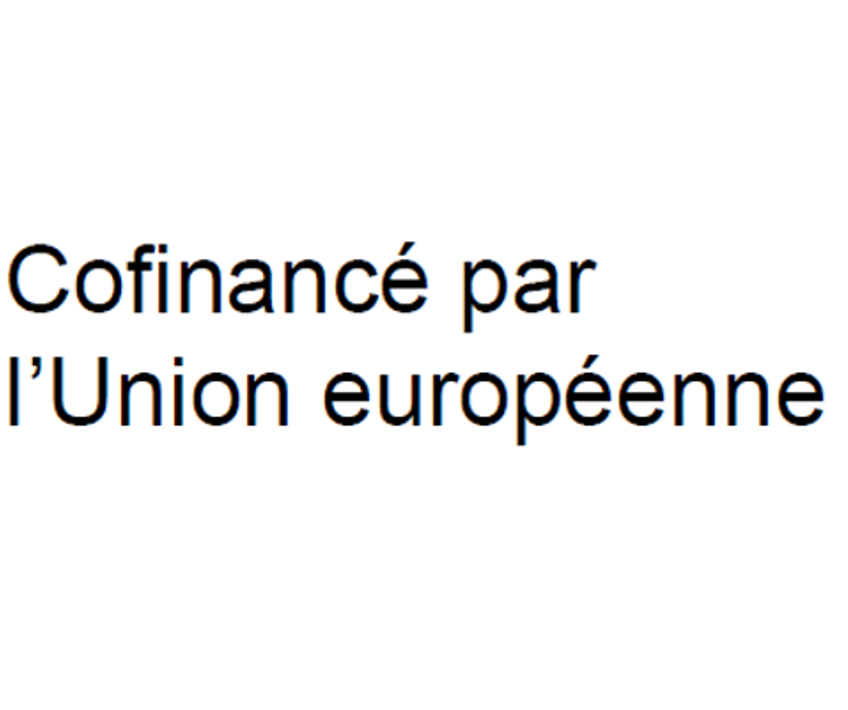 Capture d'écran 2024-04-30 151843