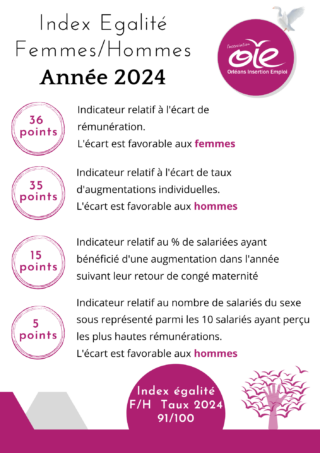https://oie-45.com/wp-content/uploads/2025/03/OIE-Index-Egalite-Femmes-Hommes-2024-320x453.png