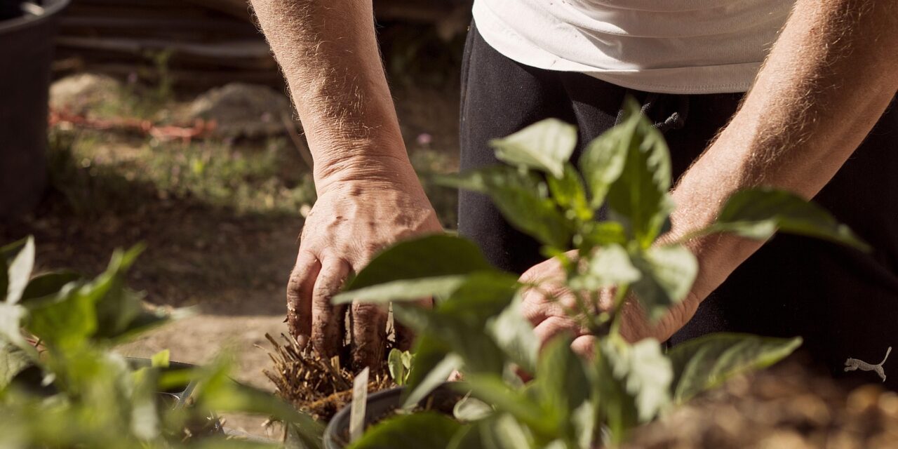 O.I.E : un tremplin vers l’emploi durable à Orléans Métropole