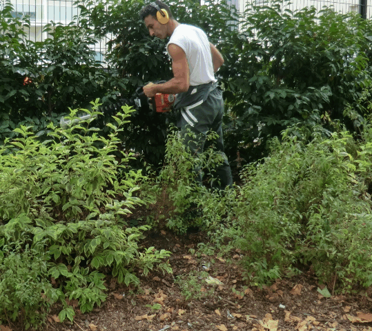 entretien-espaces-verts https://oie-45.com/wp-content/uploads/2025/08/entretien-espaces-verts-539x480.png