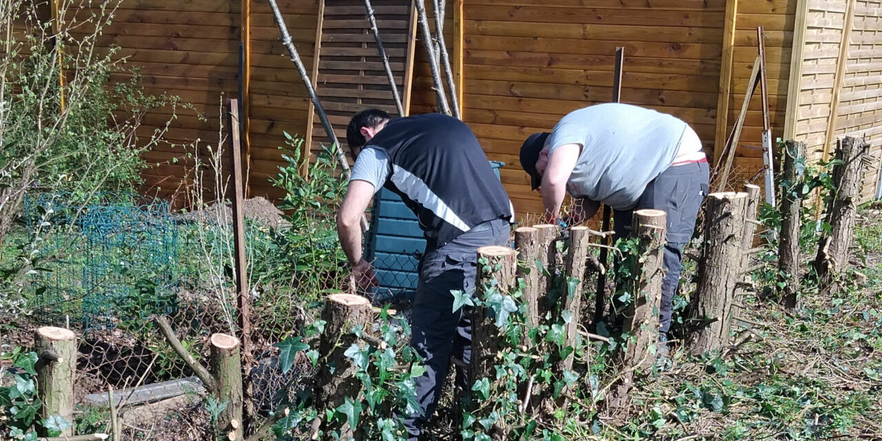 Printemps : C’est le moment de réveiller vos espaces verts avec l’O.I.E !